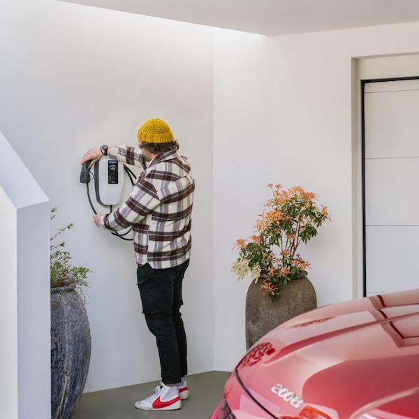 Wallbox Dazebox Home T